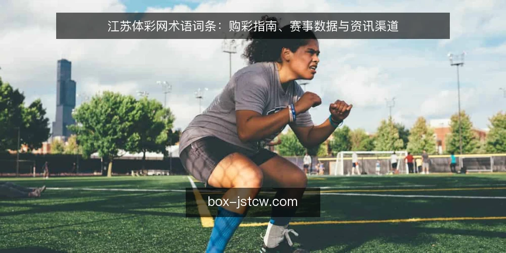 江苏体彩网术语词条：购彩指南、赛事数据与资讯渠道 — 信号观察：哪些词条需要先定义 配图
